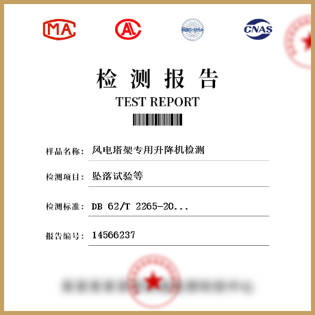 風(fēng)電塔架專用升降機(jī)檢測